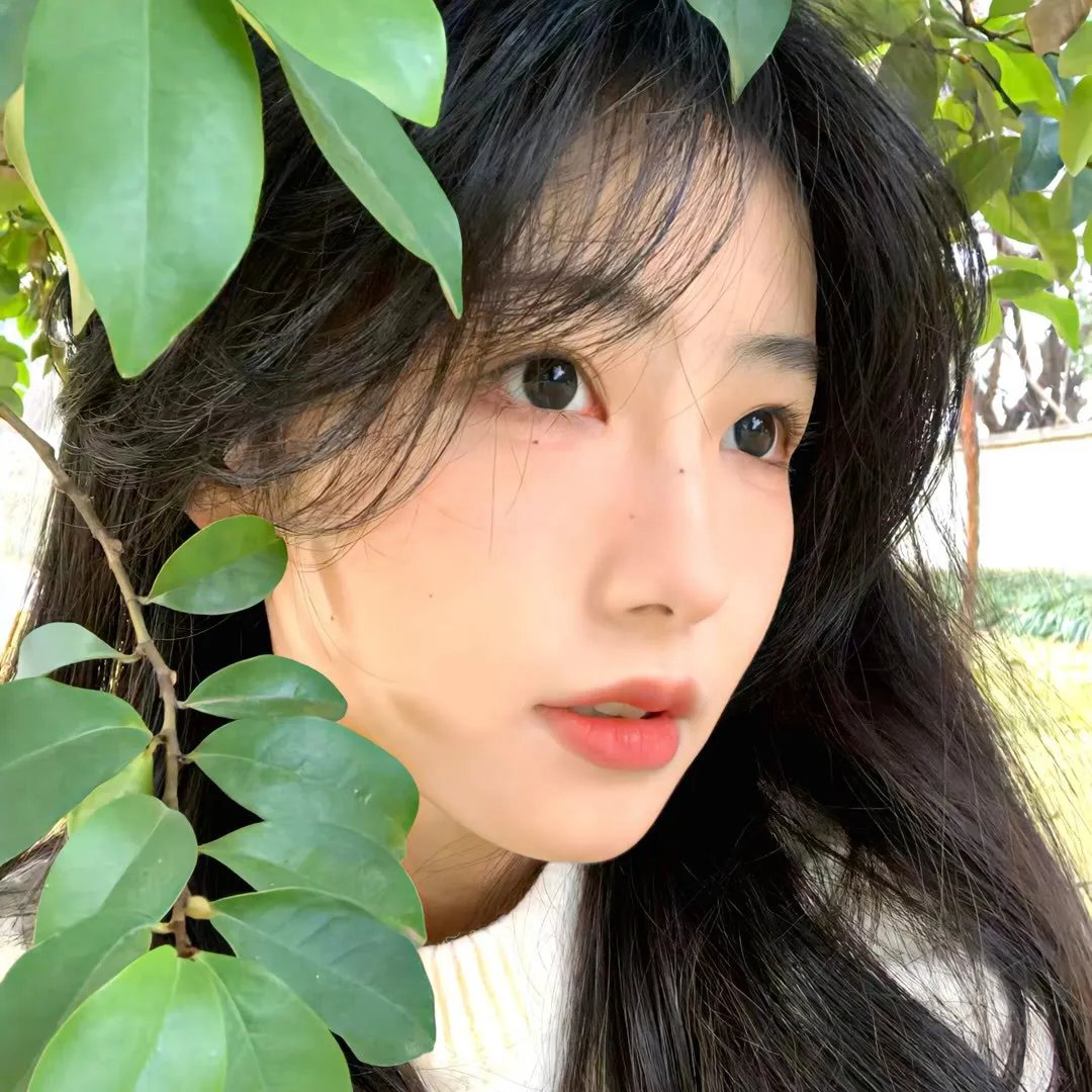 危红禁色